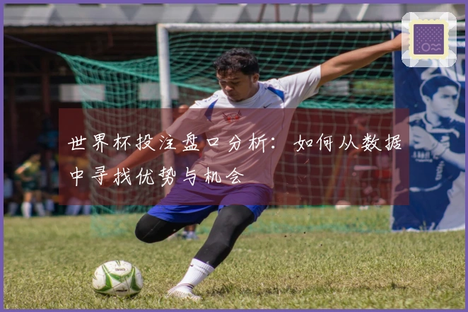 世界杯投注盘口分析：如何从数据中寻找优势与机会