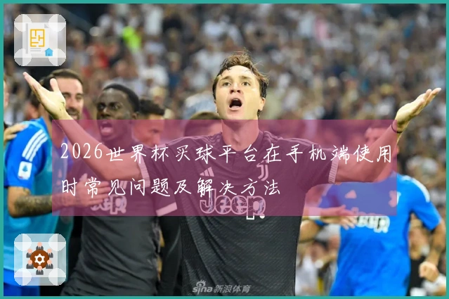 2026世界杯买球平台在手机端使用时常见问题及解决方法