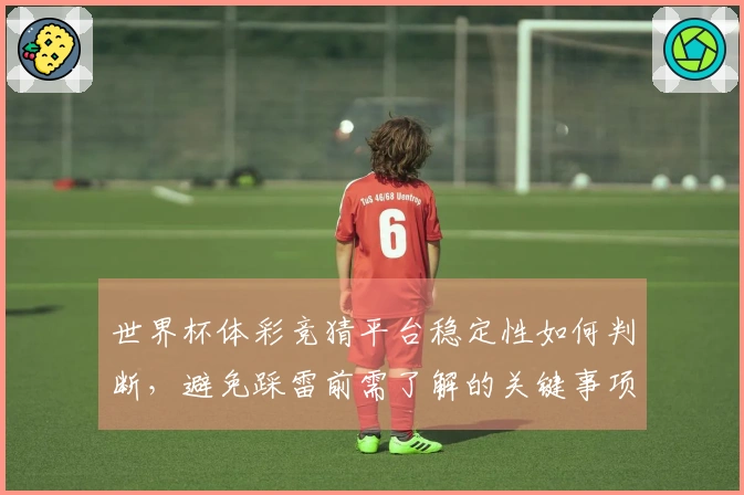 世界杯体彩竞猜平台稳定性如何判断，避免踩雷前需了解的关键事项