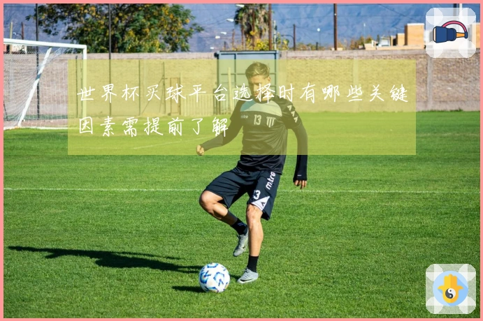 世界杯买球平台选择时有哪些关键因素需提前了解