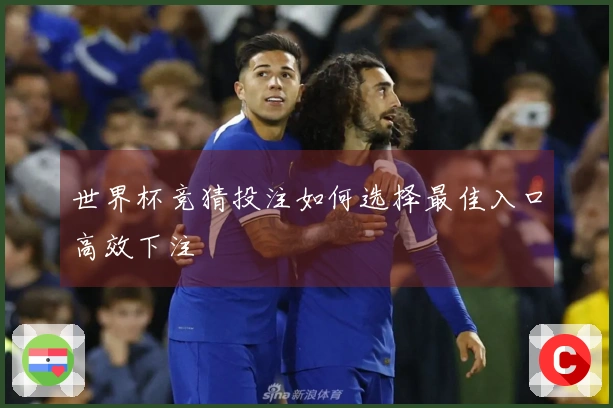 世界杯竞猜投注如何选择最佳入口高效下注
