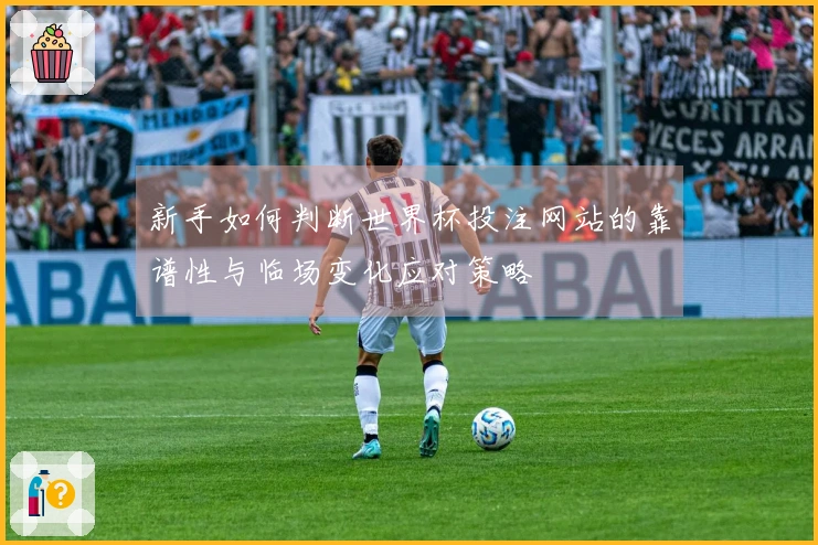 新手如何判断世界杯投注网站的靠谱性与临场变化应对策略
