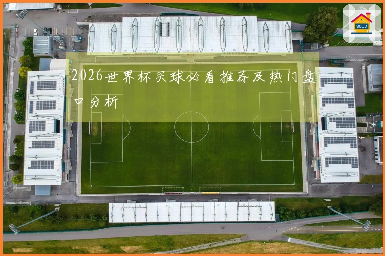 2026世界杯买球必看推荐及热门盘口分析