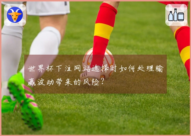 世界杯下注网站选择时如何处理输赢波动带来的风险？