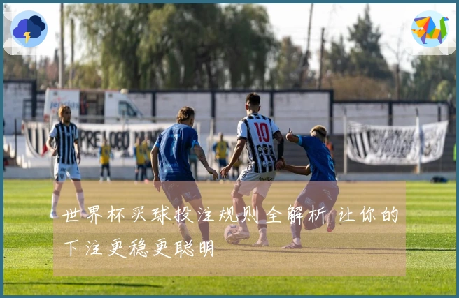 世界杯买球投注规则全解析 让你的下注更稳更聪明
