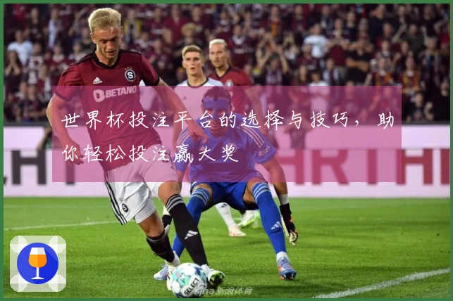 世界杯投注平台的选择与技巧，助你轻松投注赢大奖