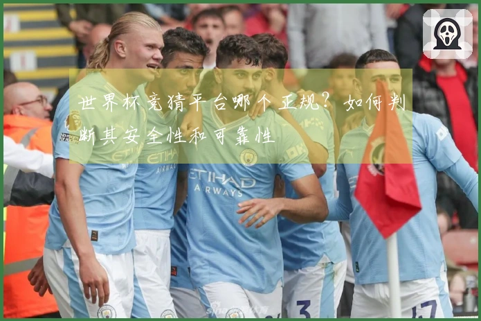 世界杯竞猜平台哪个正规？如何判断其安全性和可靠性