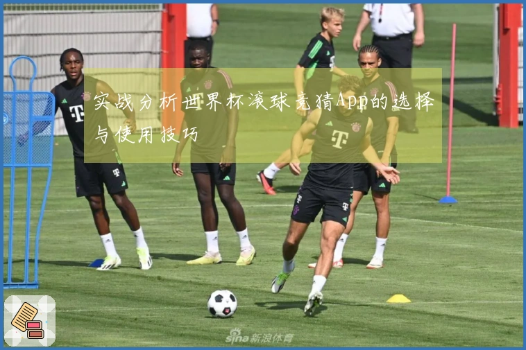 实战分析世界杯滚球竞猜App的选择与使用技巧