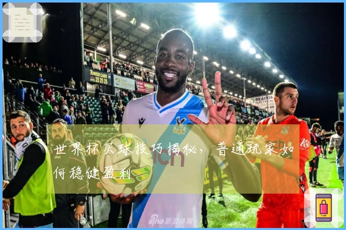 世界杯买球技巧揭秘，普通玩家如何稳健盈利