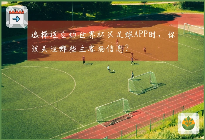 选择适合的世界杯买足球APP时，你该关注哪些主客场信息？