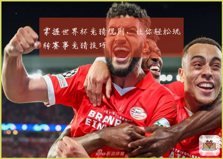 掌握世界杯竞猜规则，让你轻松玩转赛事竞猜技巧