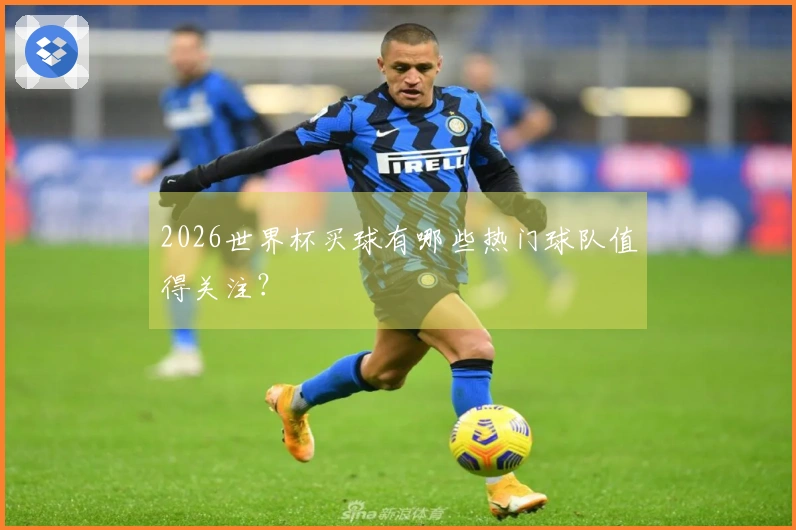 2026世界杯买球有哪些热门球队值得关注？