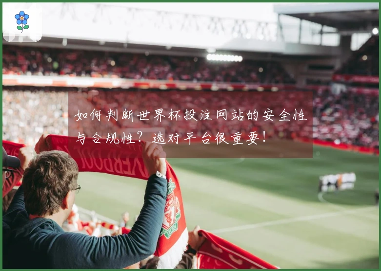 如何判断世界杯投注网站的安全性与合规性？选对平台很重要！