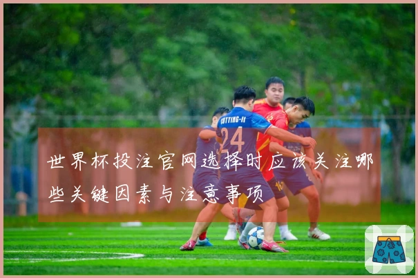 世界杯投注官网选择时应该关注哪些关键因素与注意事项