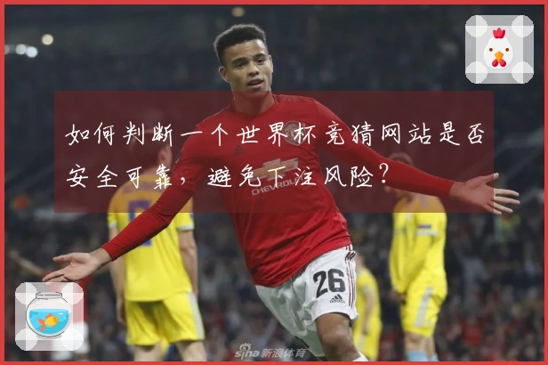 如何判断一个世界杯竞猜网站是否安全可靠，避免下注风险？