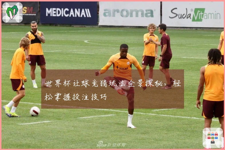 世界杯让球竞猜玩法全景探秘，轻松掌握投注技巧