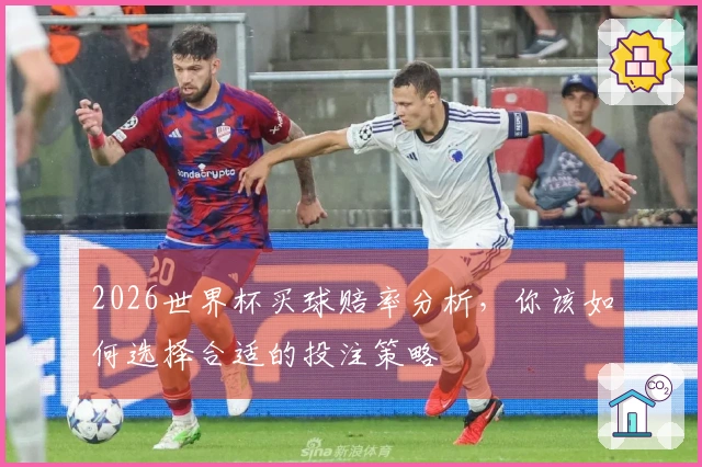 2026世界杯买球赔率分析，你该如何选择合适的投注策略