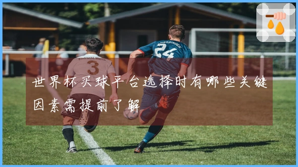 世界杯买球平台选择时有哪些关键因素需提前了解