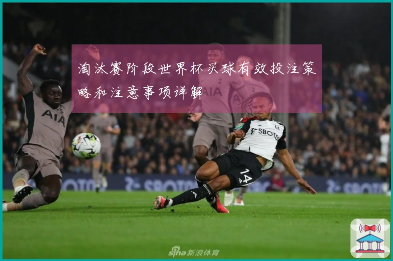 淘汰赛阶段世界杯买球有效投注策略和注意事项详解