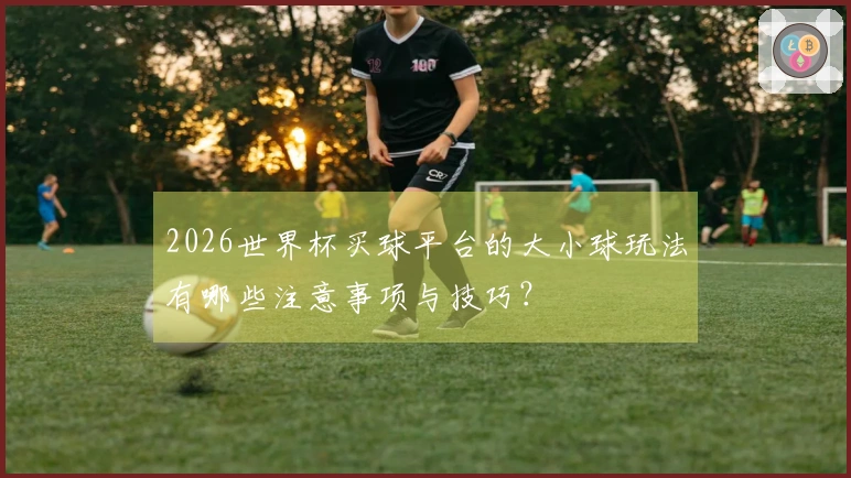 2026世界杯买球平台的大小球玩法有哪些注意事项与技巧？