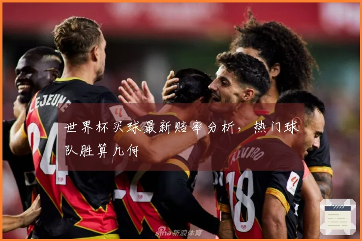 世界杯买球最新赔率分析，热门球队胜算几何
