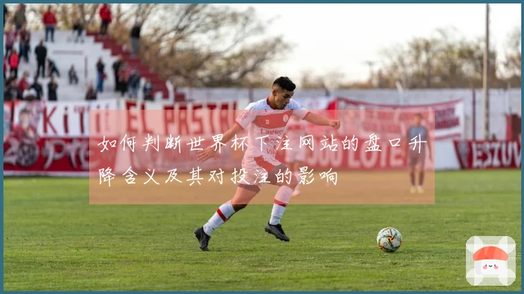 如何判断世界杯下注网站的盘口升降含义及其对投注的影响