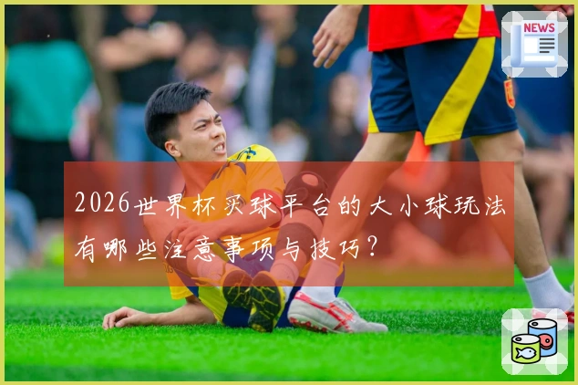 2026世界杯买球平台的大小球玩法有哪些注意事项与技巧？
