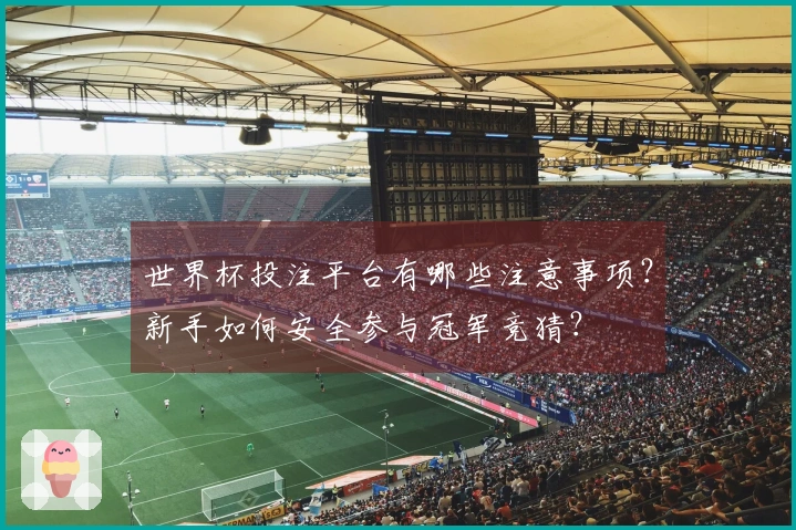 世界杯投注平台有哪些注意事项？新手如何安全参与冠军竞猜？
