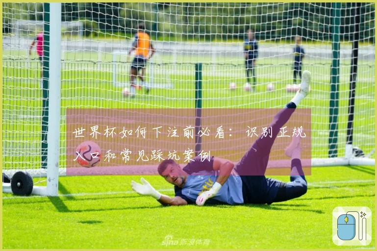 世界杯如何下注前必看：识别正规入口和常见踩坑案例