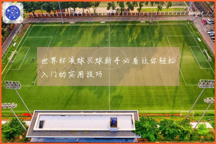 世界杯滚球买球新手必看让你轻松入门的实用技巧