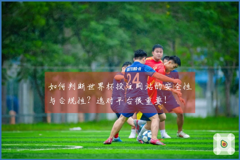 如何判断世界杯投注网站的安全性与合规性？选对平台很重要！