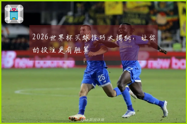 2026世界杯买球技巧大揭秘，让你的投注更有胜算