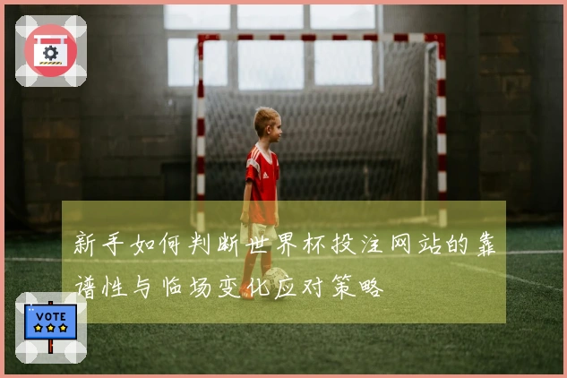 新手如何判断世界杯投注网站的靠谱性与临场变化应对策略