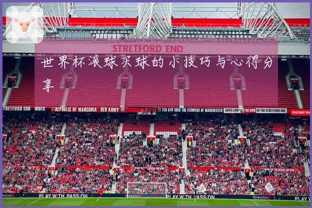 世界杯滚球买球的小技巧与心得分享