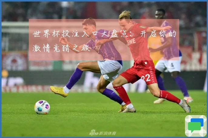 世界杯投注入口大盘点：开启你的激情竞猜之旅