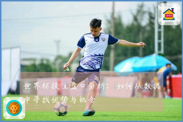 世界杯投注盘口分析：如何从数据中寻找优势与机会