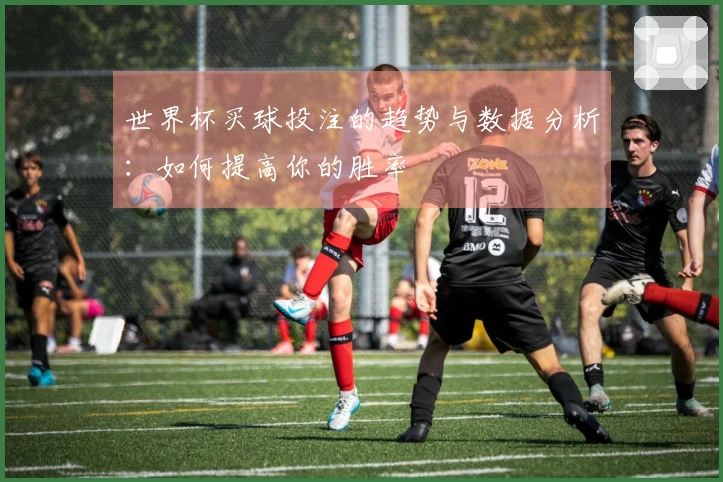 世界杯买球投注的趋势与数据分析：如何提高你的胜率