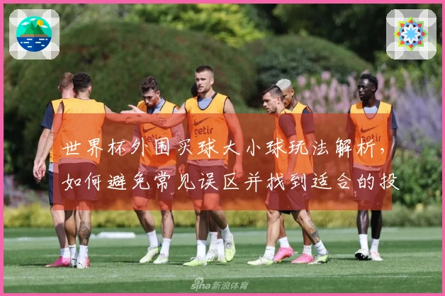 世界杯外围买球大小球玩法解析，如何避免常见误区并找到适合的投注策略