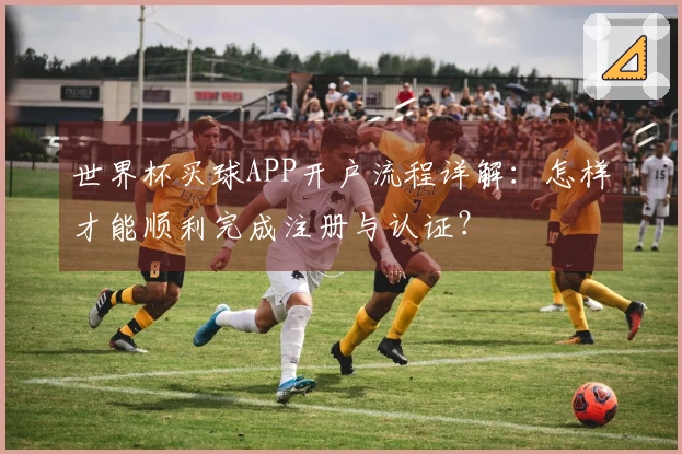 世界杯买球APP开户流程详解：怎样才能顺利完成注册与认证？